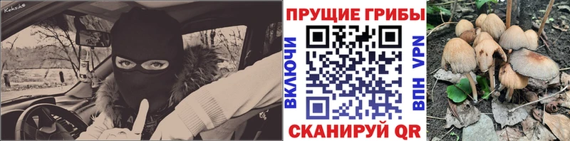 Псилоцибиновые грибы прущие грибы Кострома